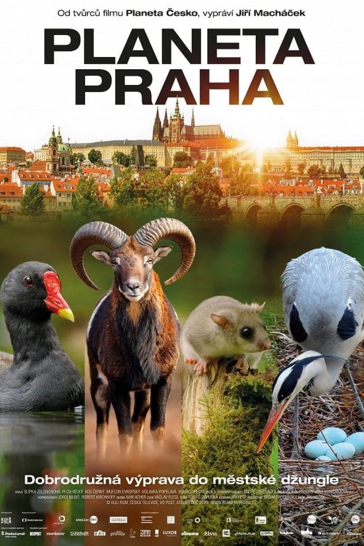 Planeta Praha