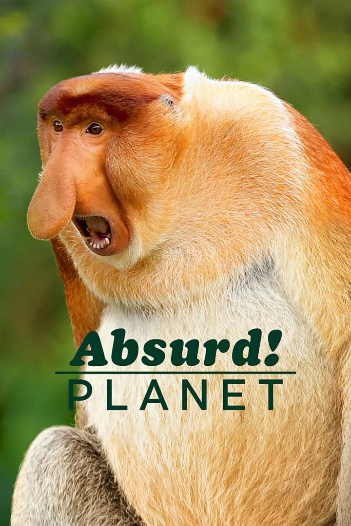 Absurd Planet