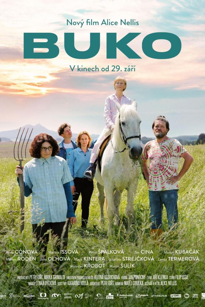 Das Filmplakat für „Buko“ zeigt eine Frau auf einem Pferd und weitere Personen in einem Feld.