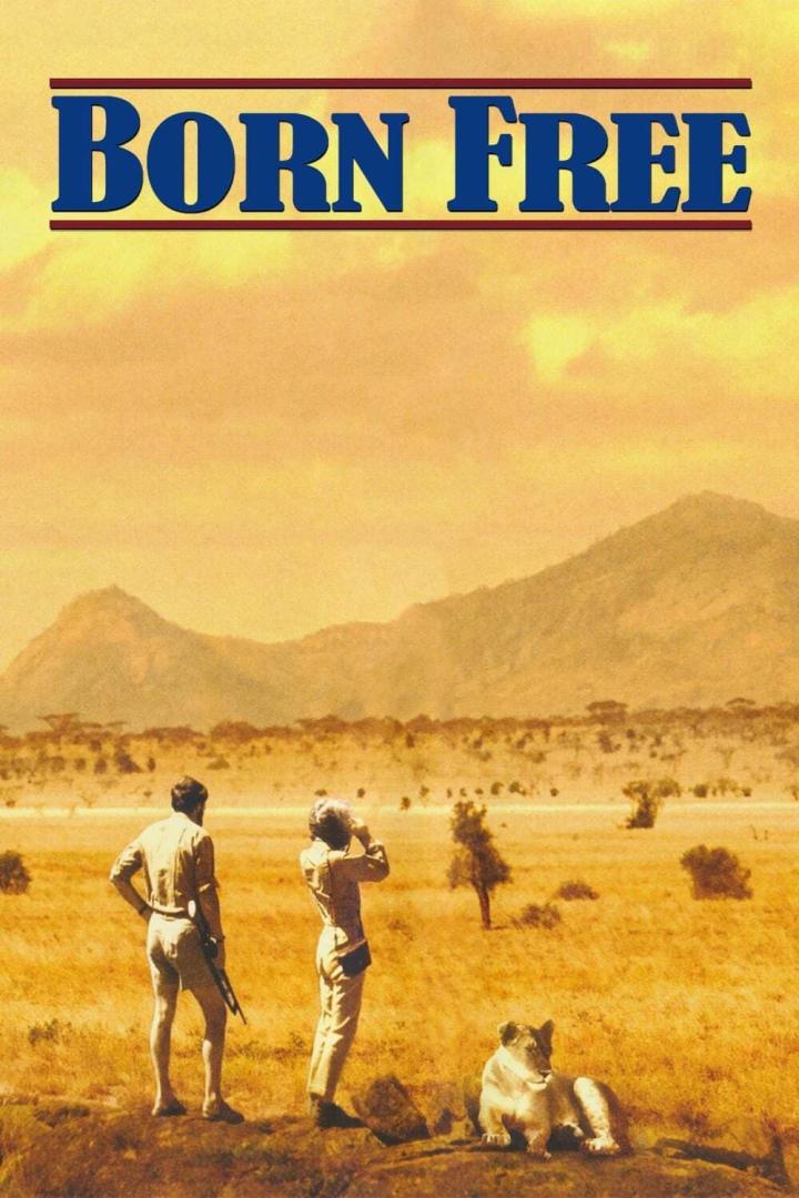 Das Filmplakat für „Frei geboren – Eine Königin für Afrika“ zeigt ein Paar mit einem Löwen in der afrikanischen Savanne.