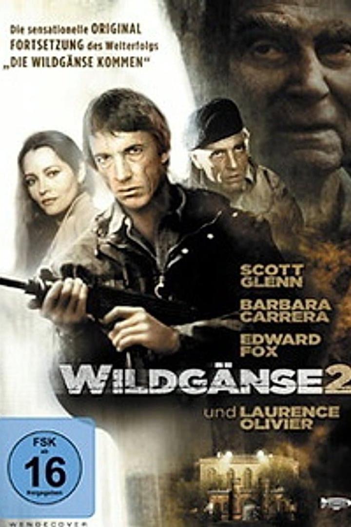 Wildgänse 2