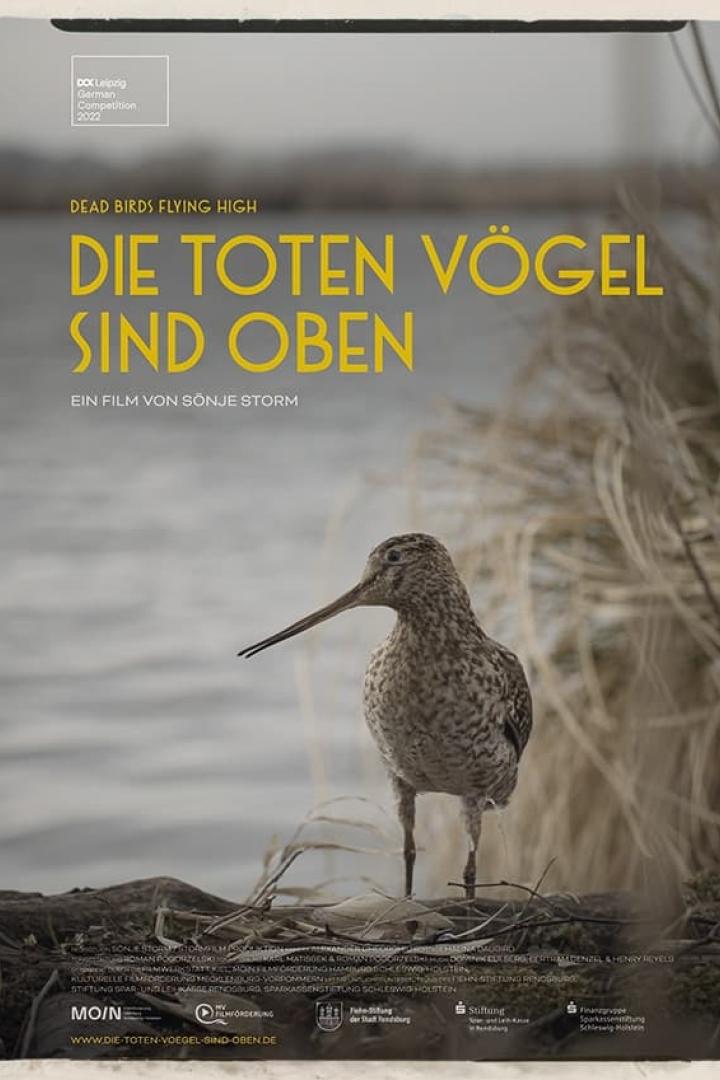 Die toten Vögel sind oben