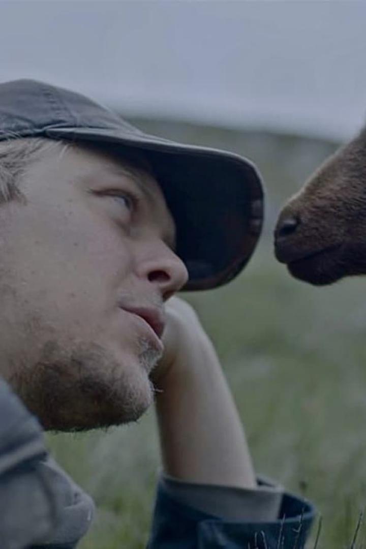 Ein Mann mit Kappe liegt im Gras, während sich ein Elch nähert.