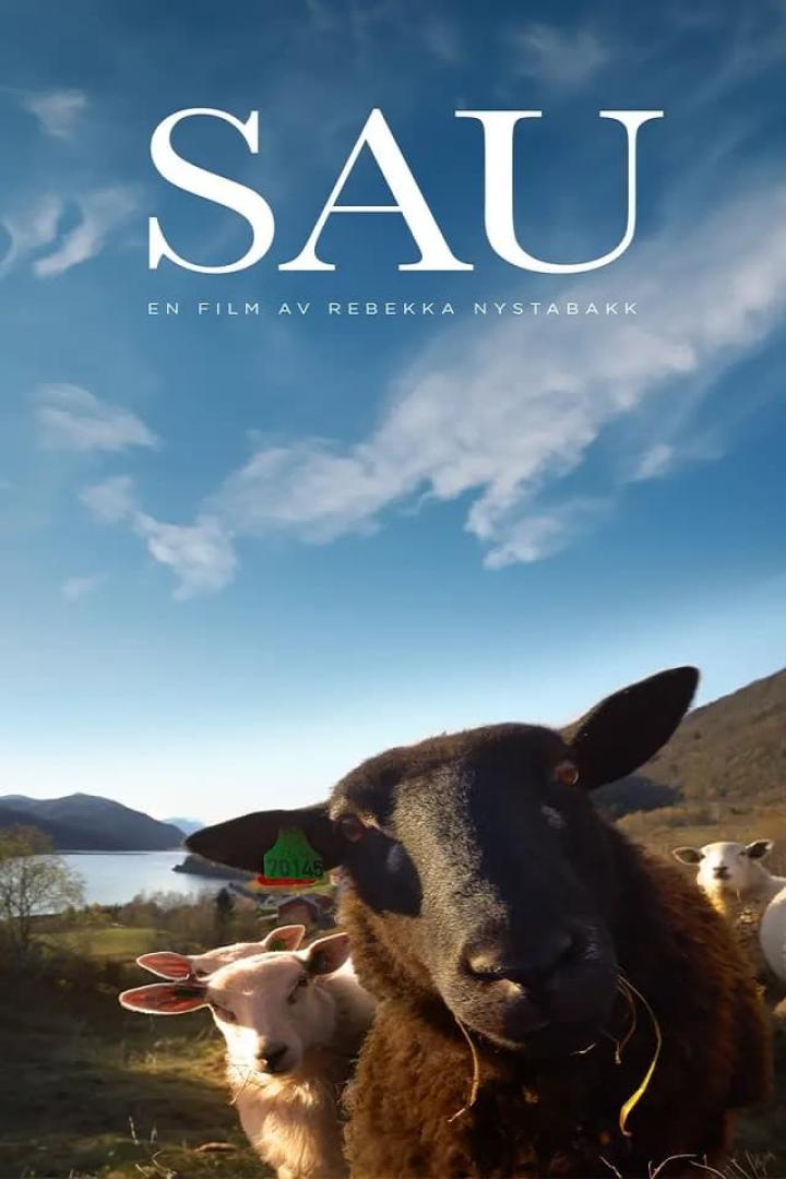 Das Filmplakat für „Sau“ zeigt eine Nahaufnahme eines schwarzen Schafs vor einer Landschaft.
