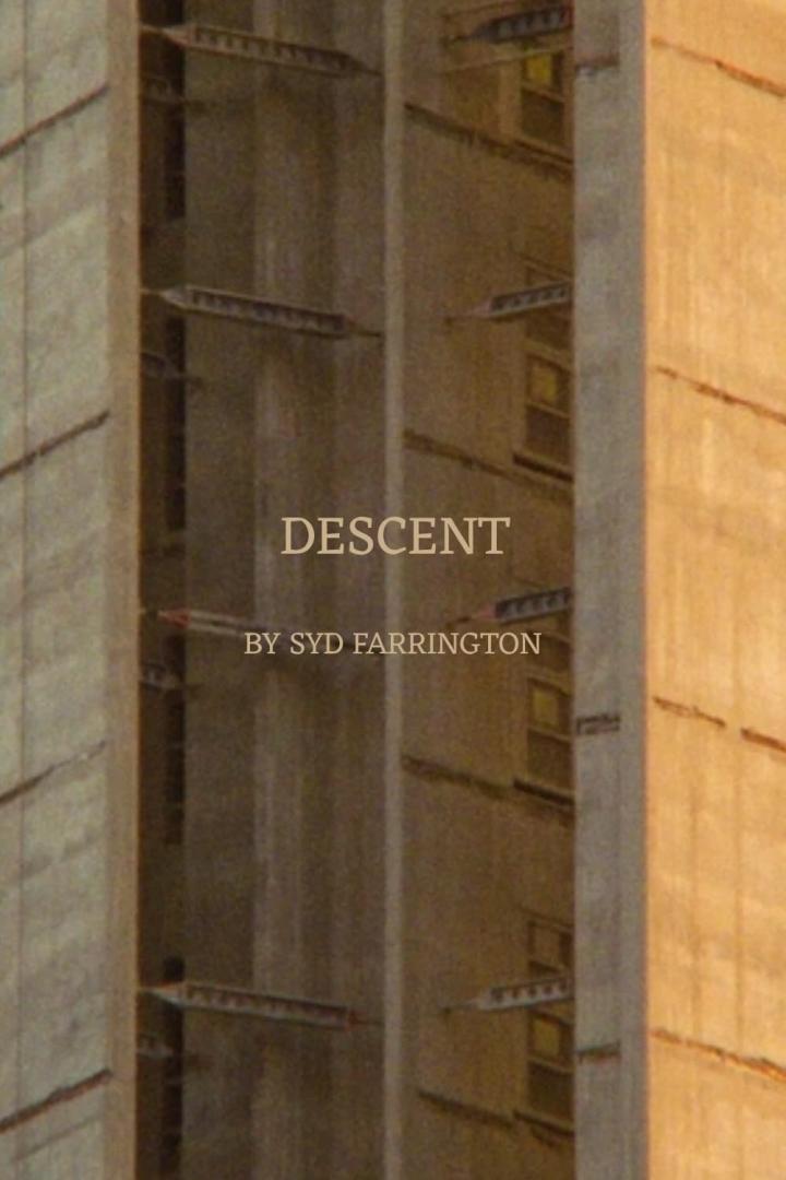 Das Cover des Buches „Descent“ von Syd Farrington zeigt ein Gebäude.