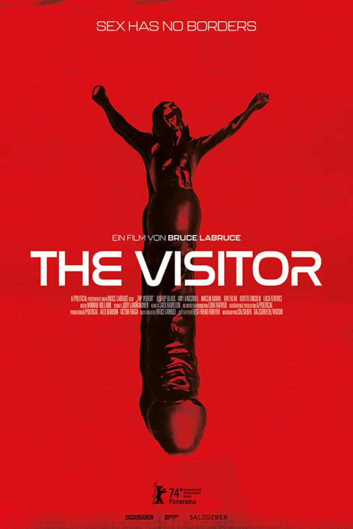 The Visitor