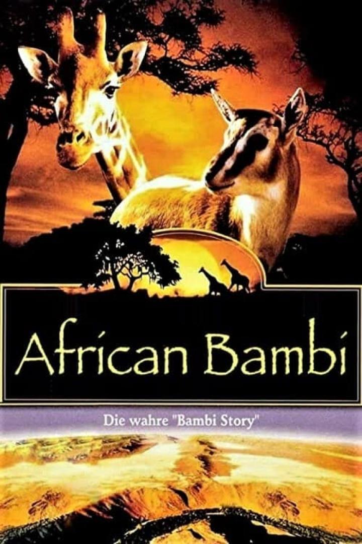 African Bambi