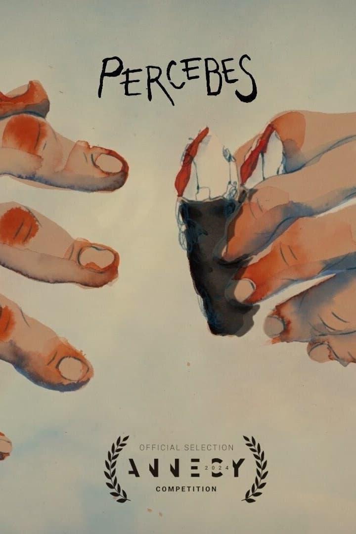 Das Filmplakat für „Percebes“ zeigt Hände, die Percebes aus einem Felsen lösen.