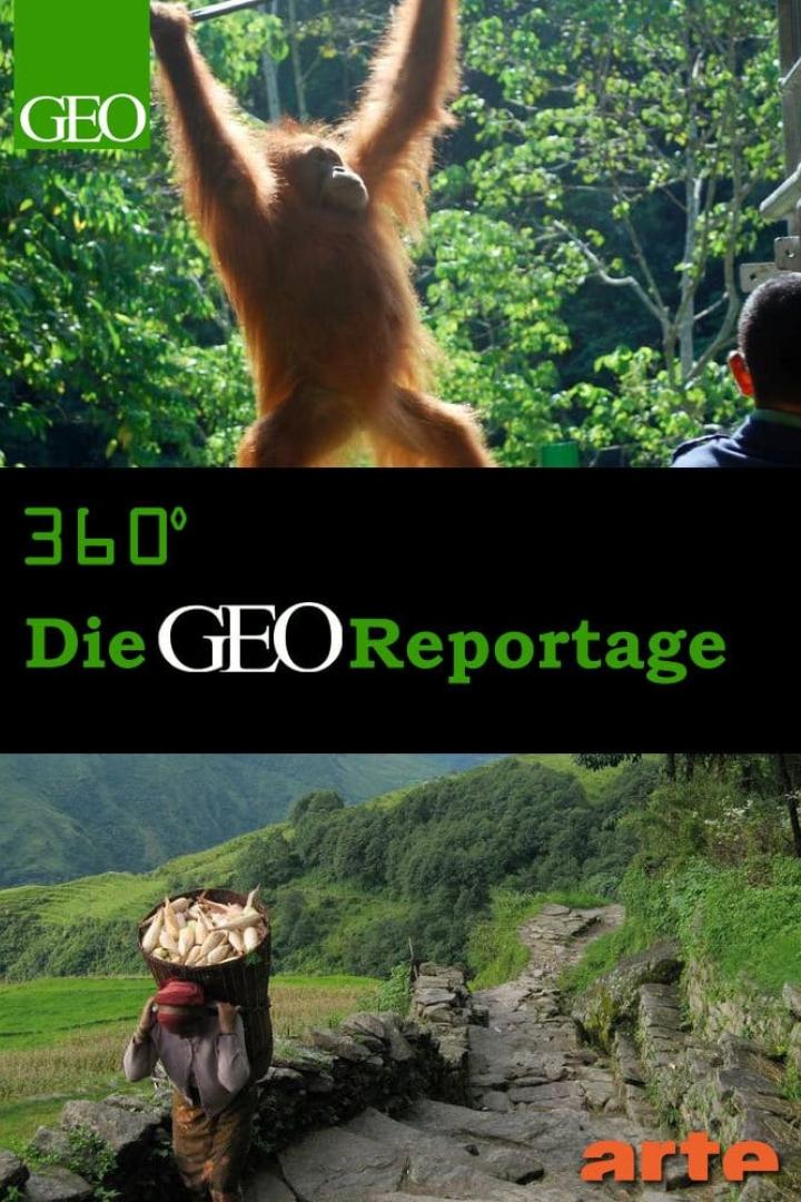 Ein Orang-Utan schwingt an einer Stange vor grünem Blätterdach. Im unteren Bild trägt eine Person eine schwere Last auf einem Bergpfad.