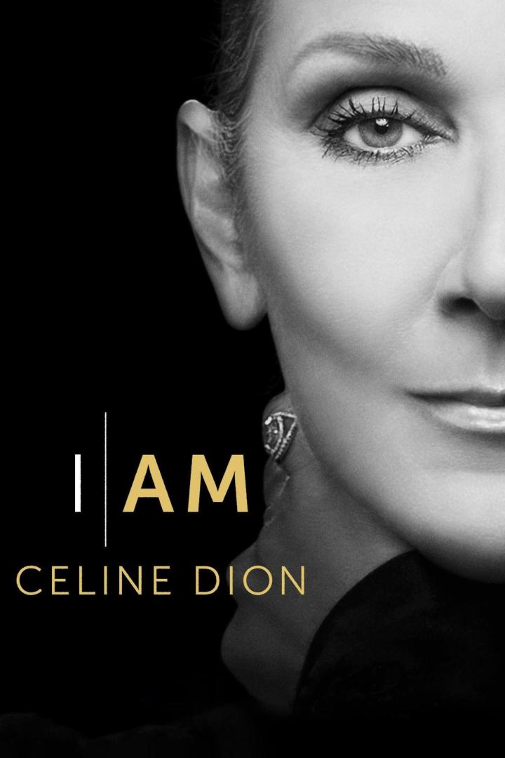 Das Gesicht von Céline Dion auf einem Albumcover oder Filmposter.