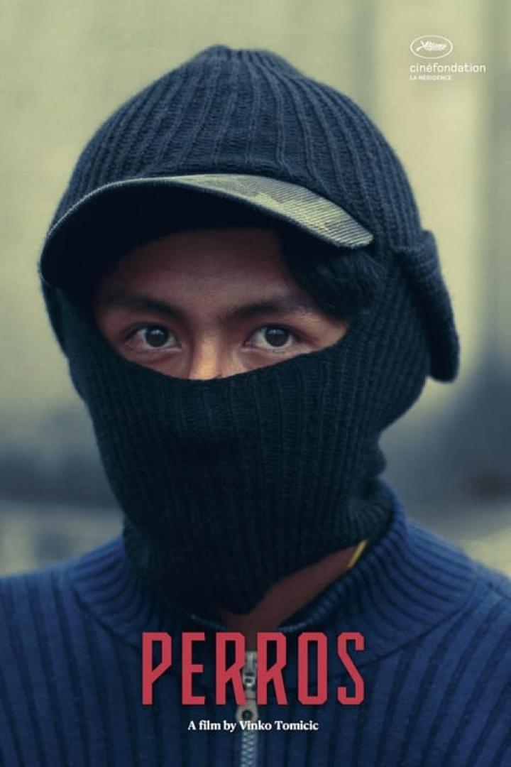 Ein Mann mit Sturmhaube und Mütze blickt in die Kamera, Filmposter „Perros“.