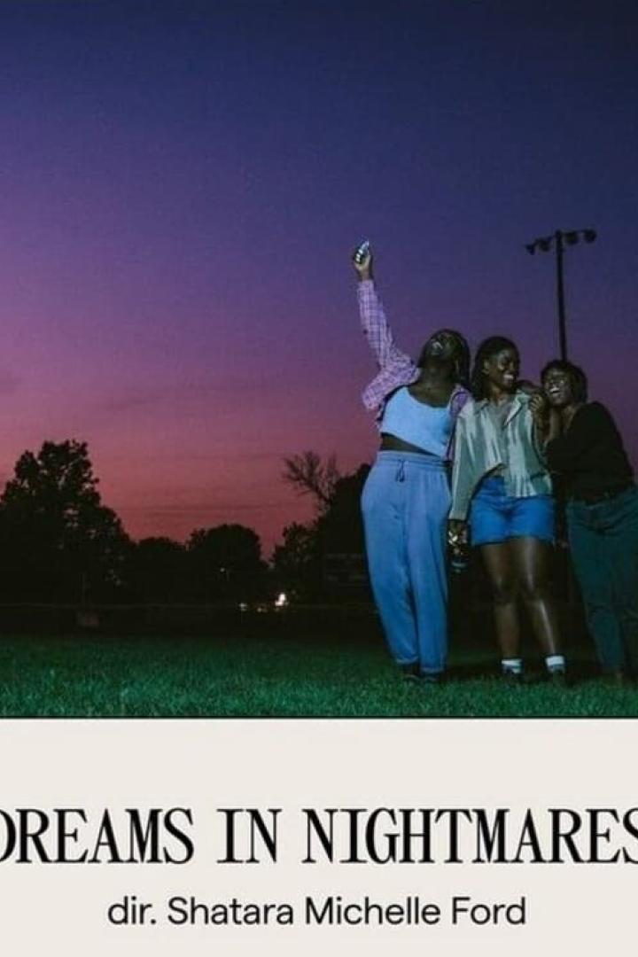 Drei junge Frauen stehen bei Dämmerung auf einer Wiese, eine hält ihr Handy in die Luft.