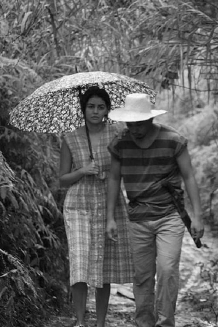 Eine Frau mit Schirm und ein Mann mit Hut gehen durch eine dichte Vegetation.