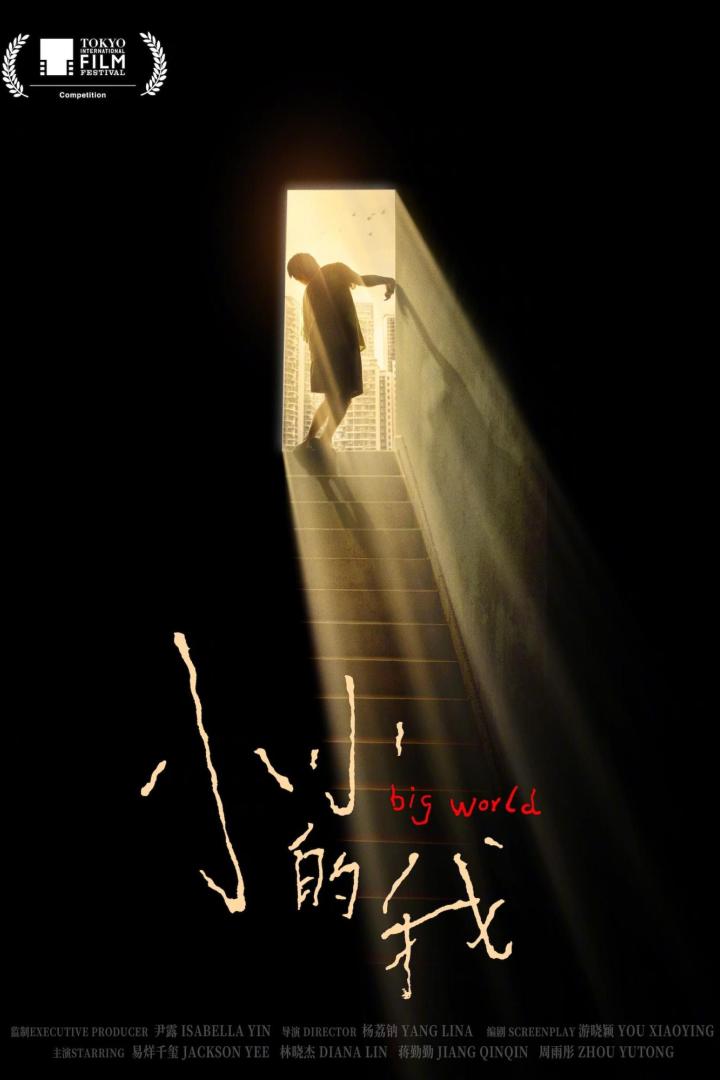 Das Filmplakat für „Big World“ zeigt eine Person, die in Richtung eines hellen Ausgangs geht.