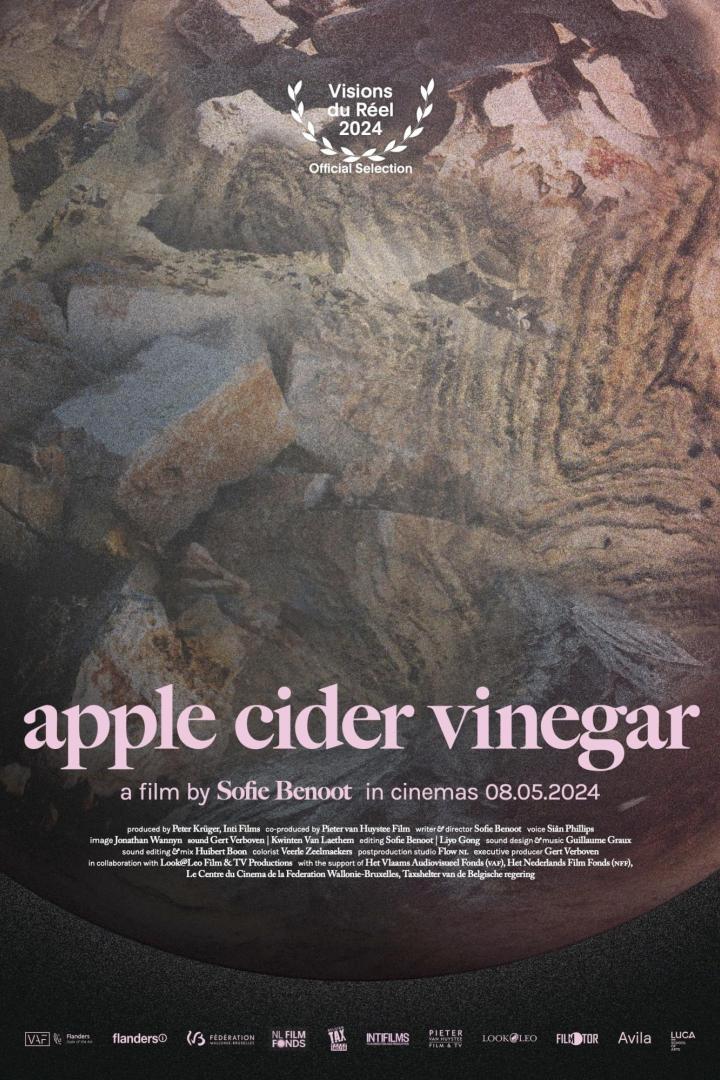 Das Filmplakat für „Apple Cider Vinegar“ zeigt eine abstrakte Felsformation.