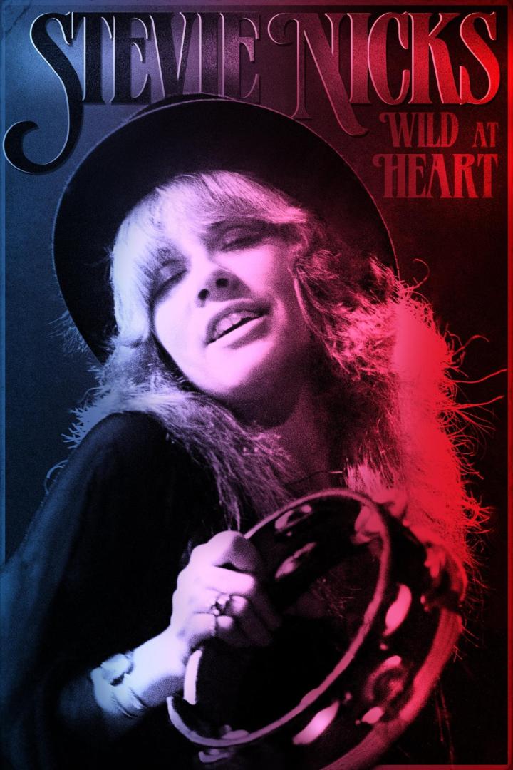 Stevie Nicks mit Tamburin, abgebildet auf dem Cover von „Wild at Heart“.