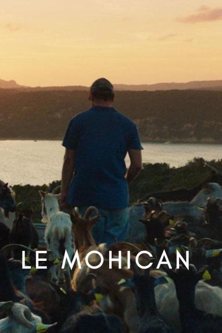 Ein Mann steht inmitten einer Ziegenherde mit Blick auf eine Küstenlandschaft bei Sonnenuntergang.