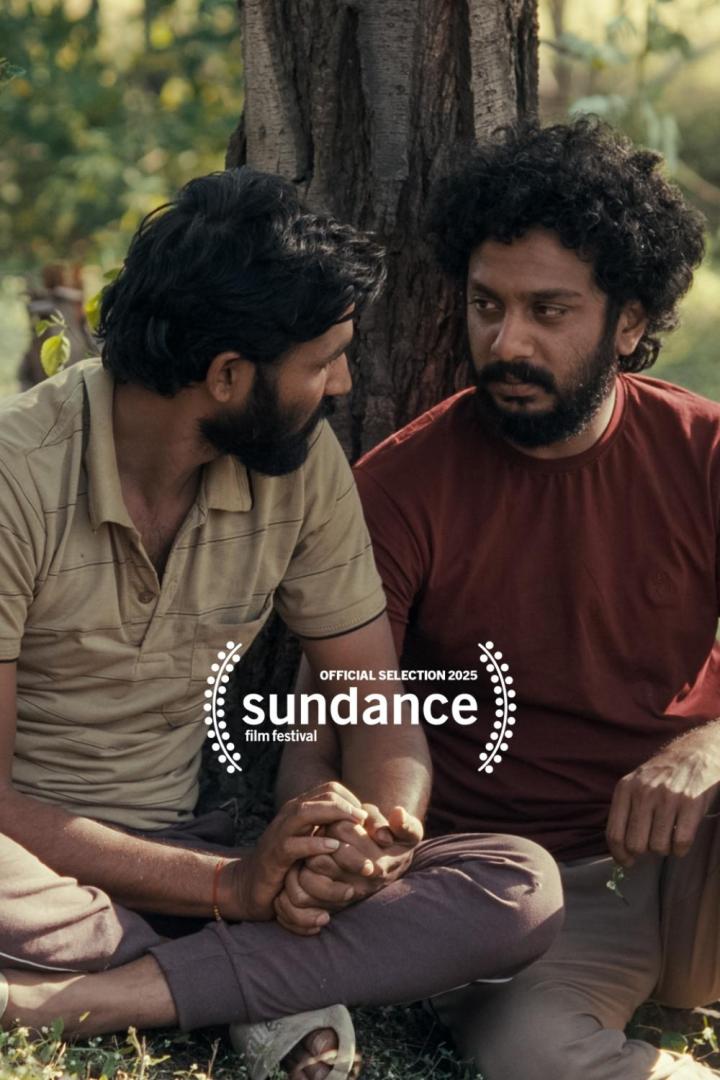 Zwei Männer sitzen an einem Baum und halten Hände.