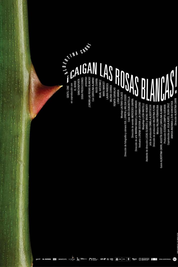Das Filmplakat für „¡Caigan las Rosas Blancas!“ zeigt einen Rosenstiel mit Dorn vor schwarzem Hintergrund.