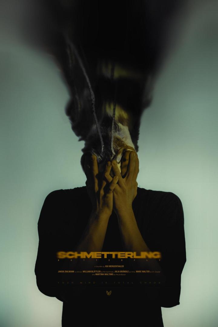 Ein Mann verdeckt sein Gesicht mit den Händen; Filmposter für „Schmetterling“.