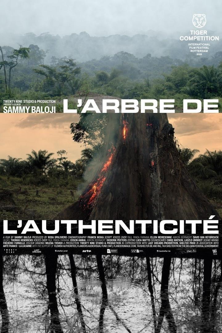 Das Filmplakat für „L'Arbre de l'authenticité“ zeigt einen brennenden Baumstumpf im Regenwald.