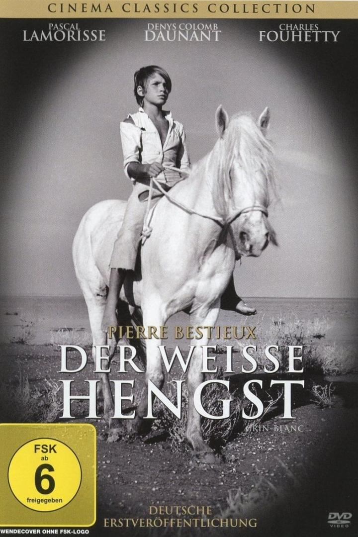 Ein Junge reitet auf einem weißen Pferd in dem Film „Der weiße Hengst“.