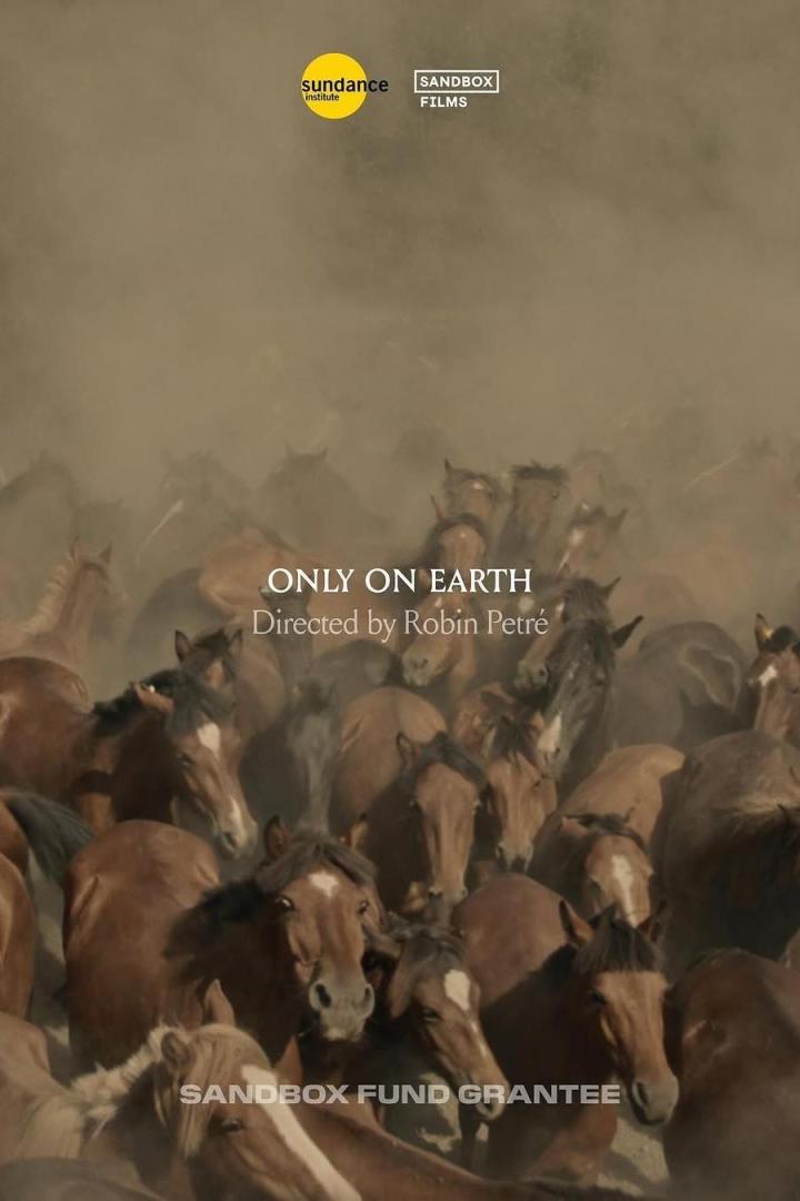 Das Filmplakat für „Only on Earth“ zeigt eine große Herde Pferde in einer staubigen Umgebung.