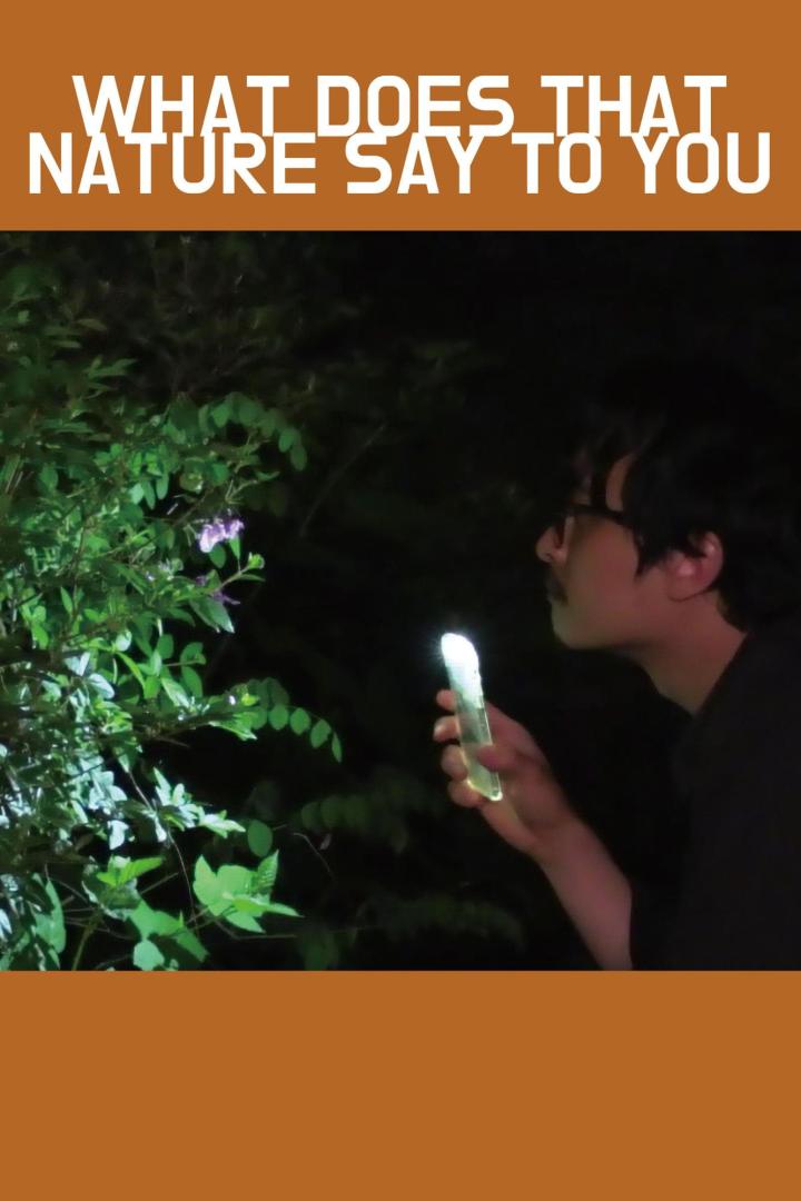 Ein Mann betrachtet im Dunkeln eine Pflanze mit einer leuchtenden Taschenlampe.