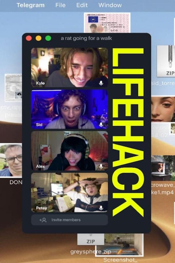 Ein Screenshot eines Videoanrufs mit vier Personen und dem Wort „LIFEHACK“.