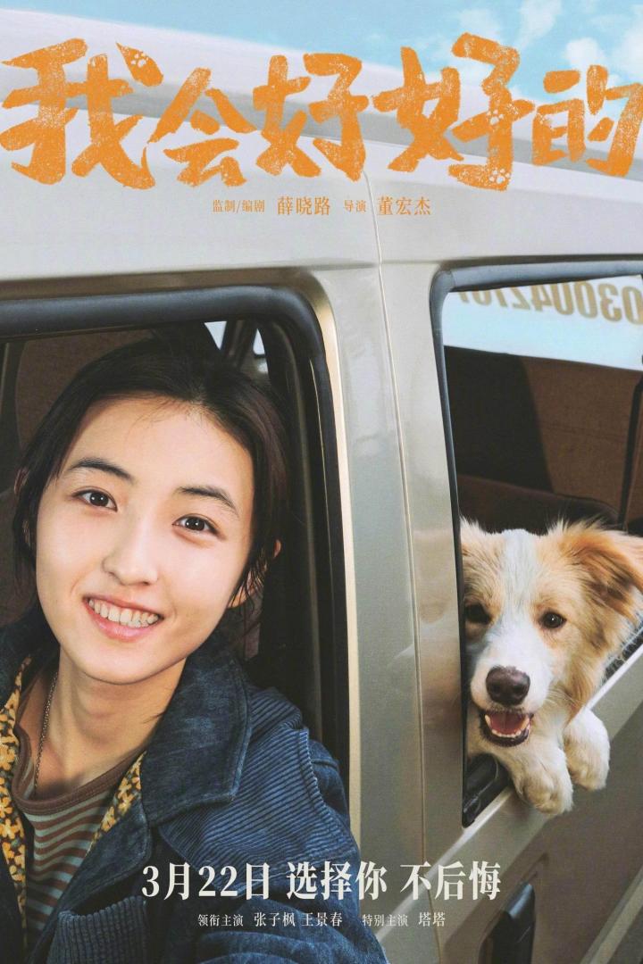 Eine junge Frau und ein Hund schauen aus den Fenstern eines Autos.