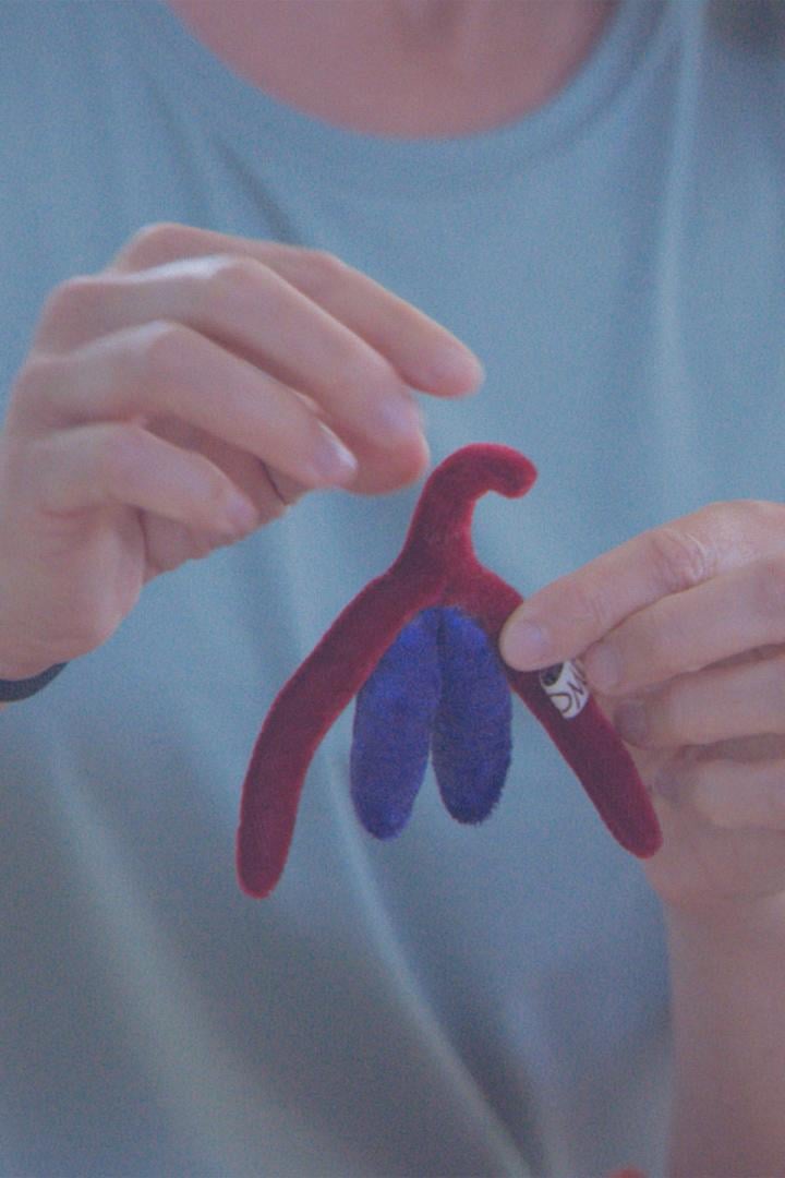 Eine Person hält ein rotes und blaues Stoffmodell einer Klitoris.