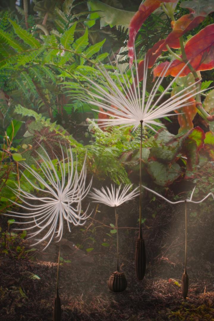 Mehrere stilisierte Pusteblumen vor einem Hintergrund aus Farnen und anderen Pflanzen.
