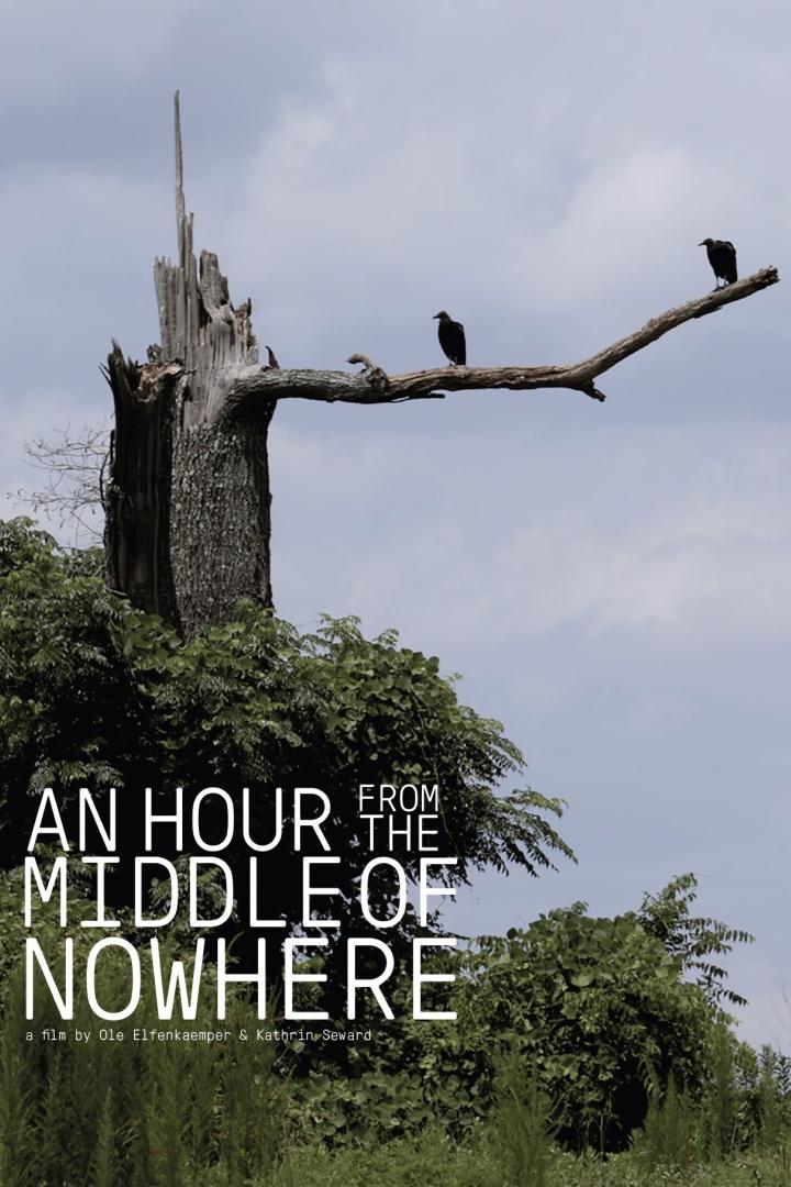 Zwei Geier sitzen auf einem Ast vor dem Hintergrund des Filmplakats „An Hour From The Middle Of Nowhere“.