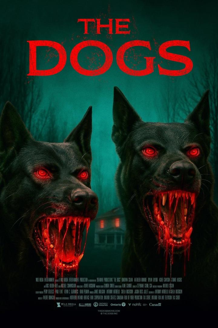 Das Filmplakat für „The Dogs“ zeigt zwei bösartige Hunde mit roten Augen und blutverschmierten Zähnen.