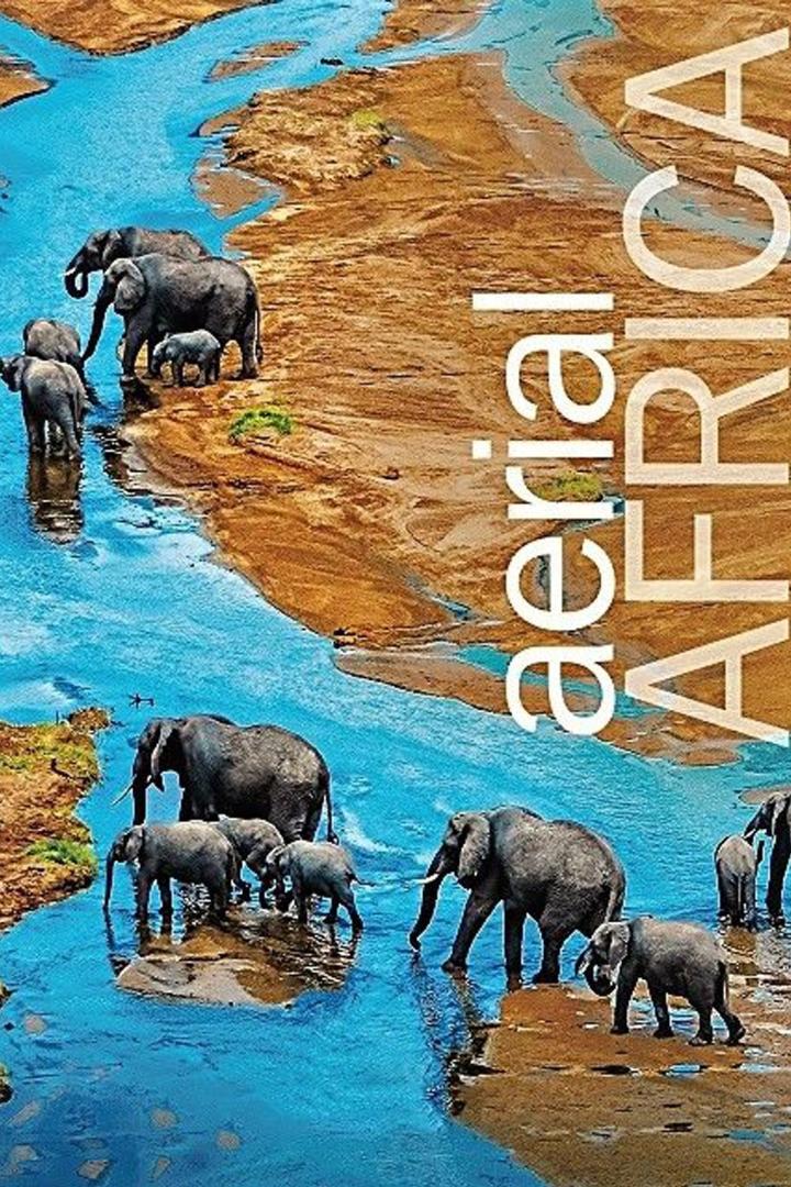 Eine Elefantenherde durchquert einen Fluss in Afrika.