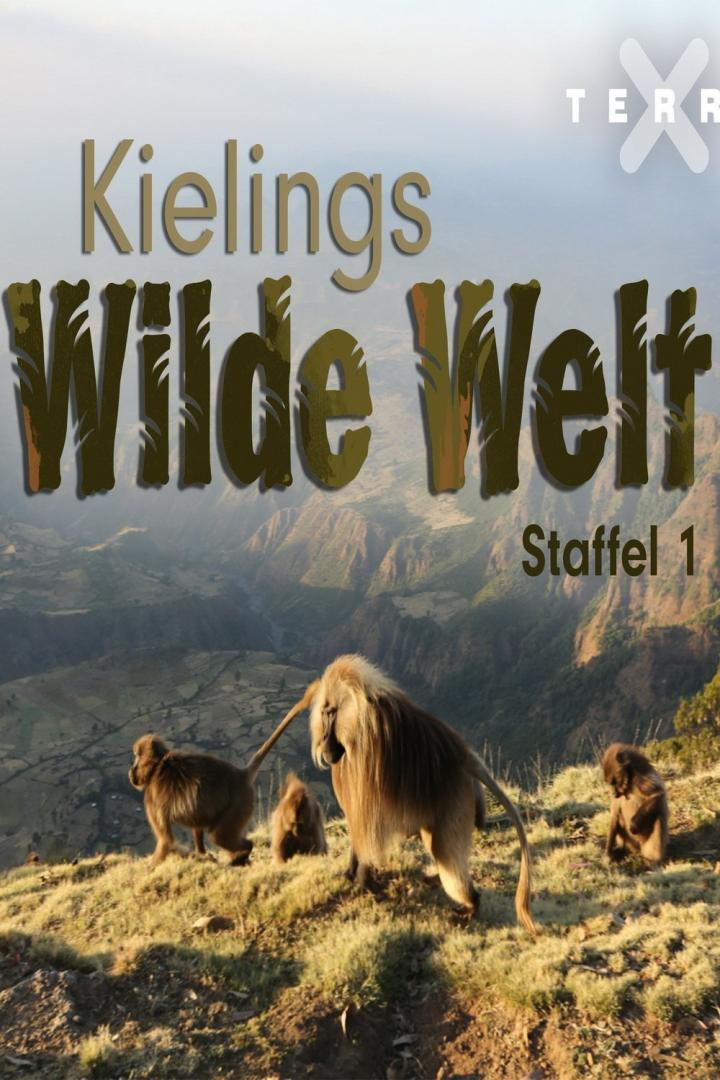 Geladas auf einem Hügel vor dem Hintergrund der Landschaft für „Kielings Wilde Welt, Staffel 1“.