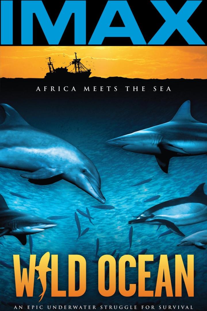 Das Filmplakat für „Wild Ocean“ zeigt Haie und Delfine unter Wasser.