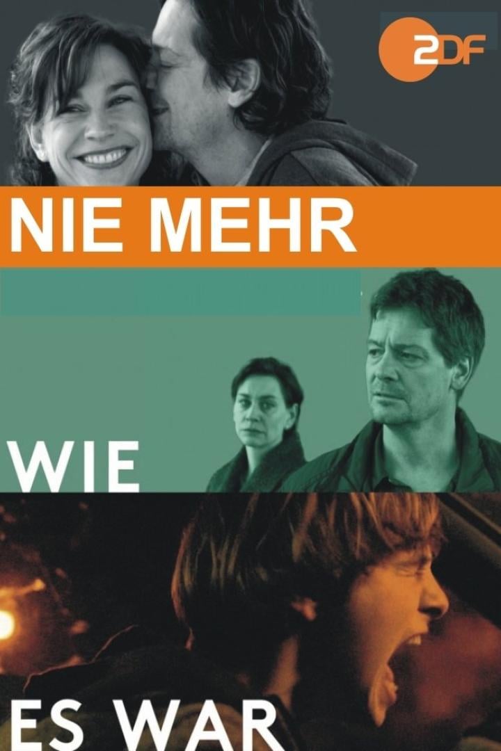 Das Filmplakat für „Nie mehr wie es war“ zeigt drei Szenen und das ZDF-Logo.