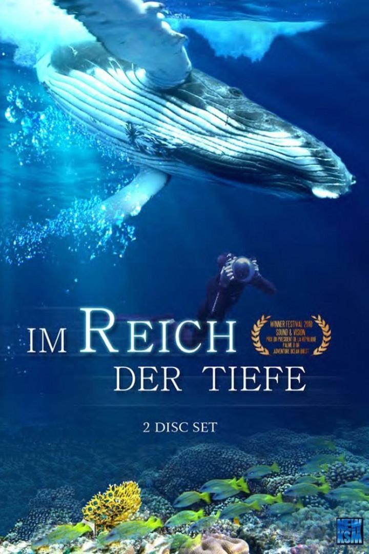 Ein Buckelwal schwimmt über einem Korallenriff, während ein Taucher filmt; Cover für „Im Reich der Tiefe“.