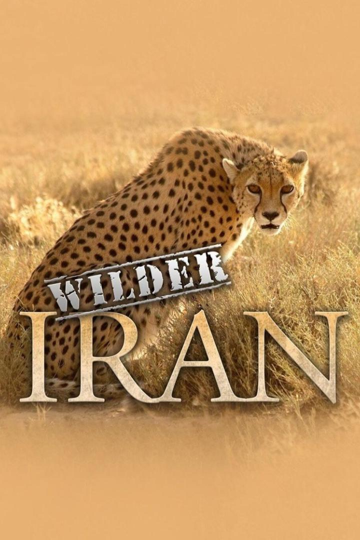 Ein Gepard steht im hohen Gras; im Vordergrund steht der Schriftzug „Wilder Iran“.