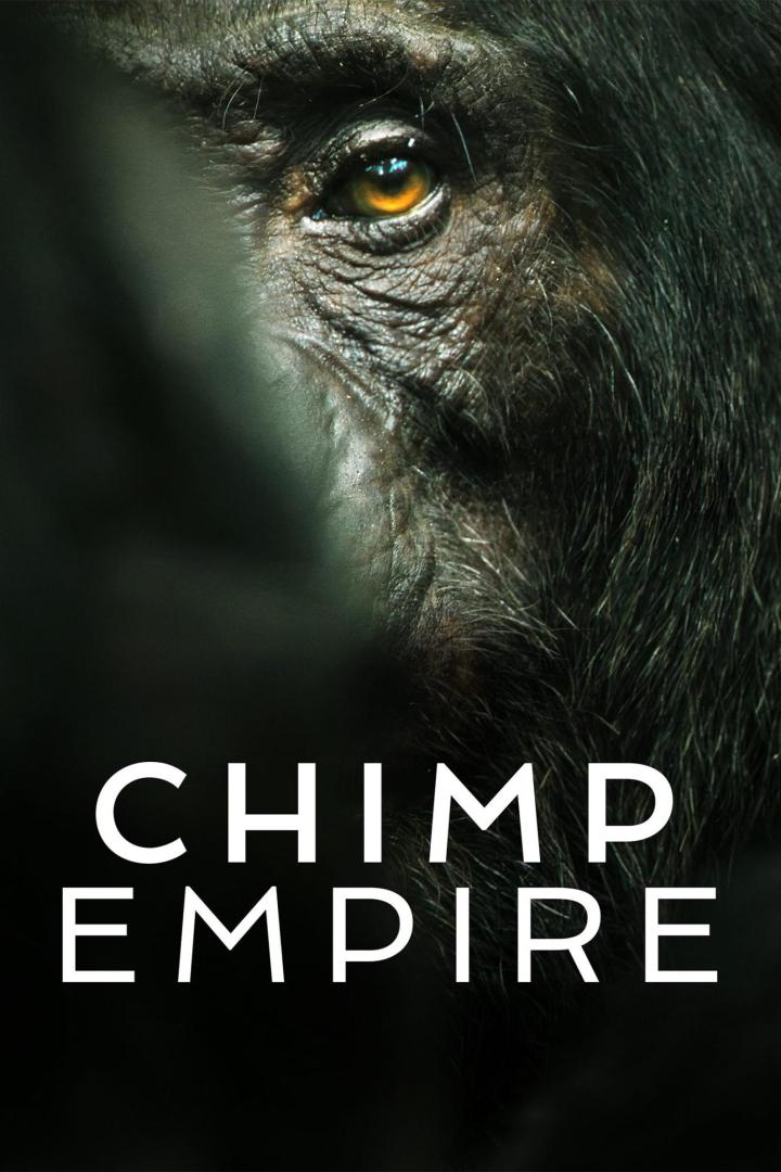 Nahaufnahme des Gesichts eines Schimpansen mit dem Titel „Chimp Empire“.