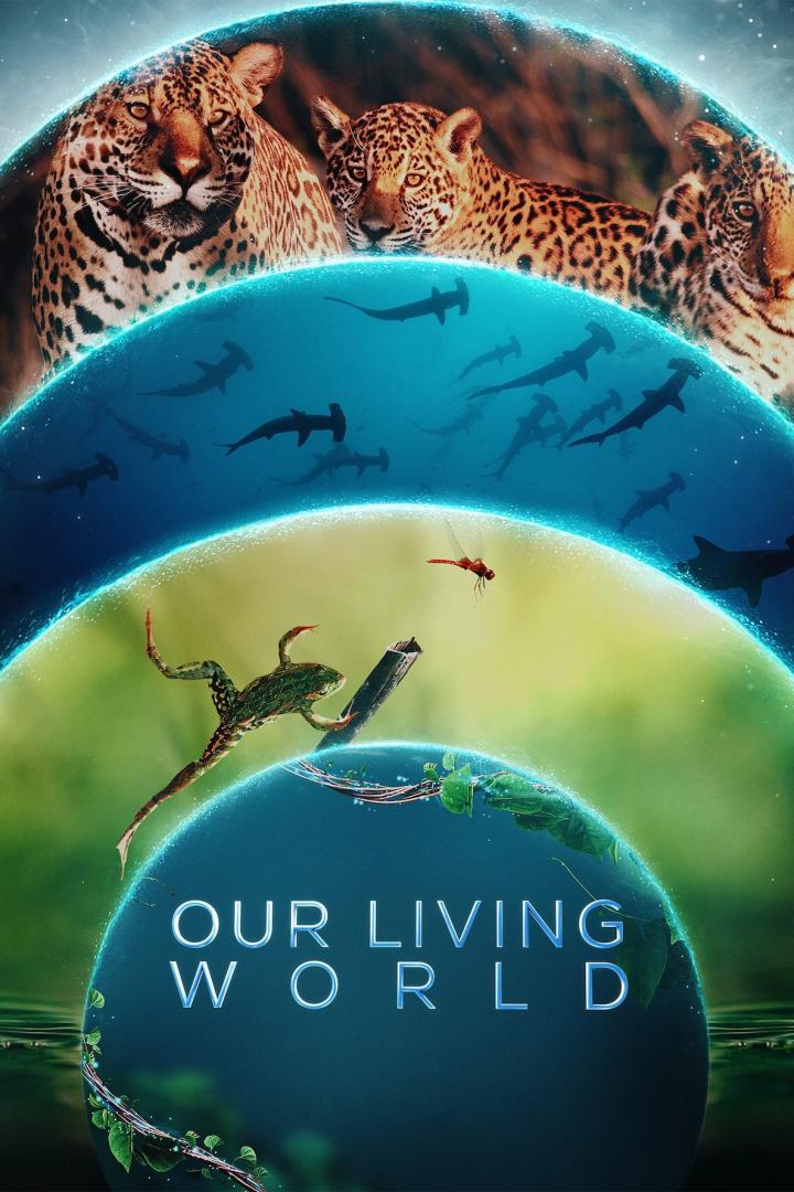 Das Poster für „Our Living World“ zeigt Jaguare, Hammerhaie und einen Frosch.