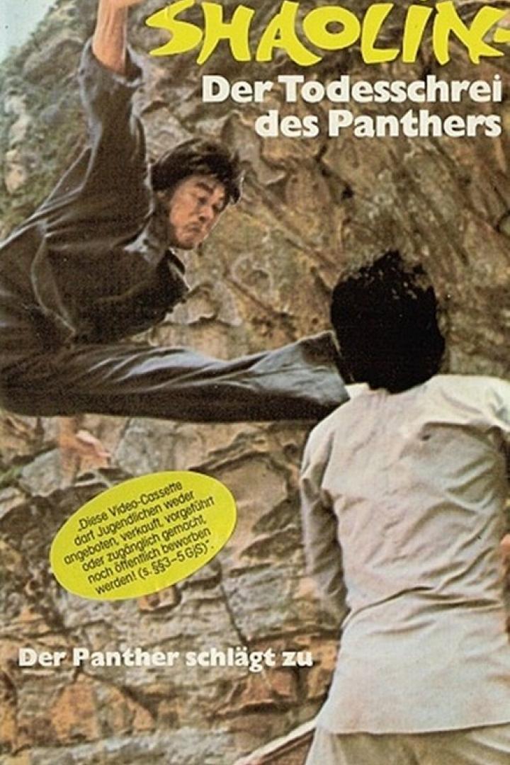 Das Cover des Films „Shaolin: Der Todesschrei des Panthers“ zeigt einen Mann im Sprung.