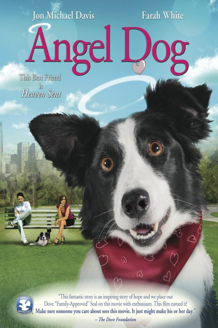 Das Filmplakat für „Angel Dog“ zeigt einen Border Collie mit Heiligenschein und rotem Halstuch.
