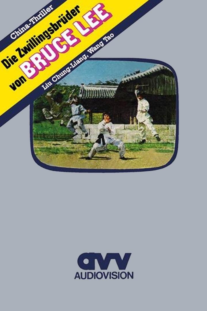 Das Cover des Films „Die Zwillingsbrüder von Bruce Lee“ mit Liu Chung-Liang und Wang Tao.