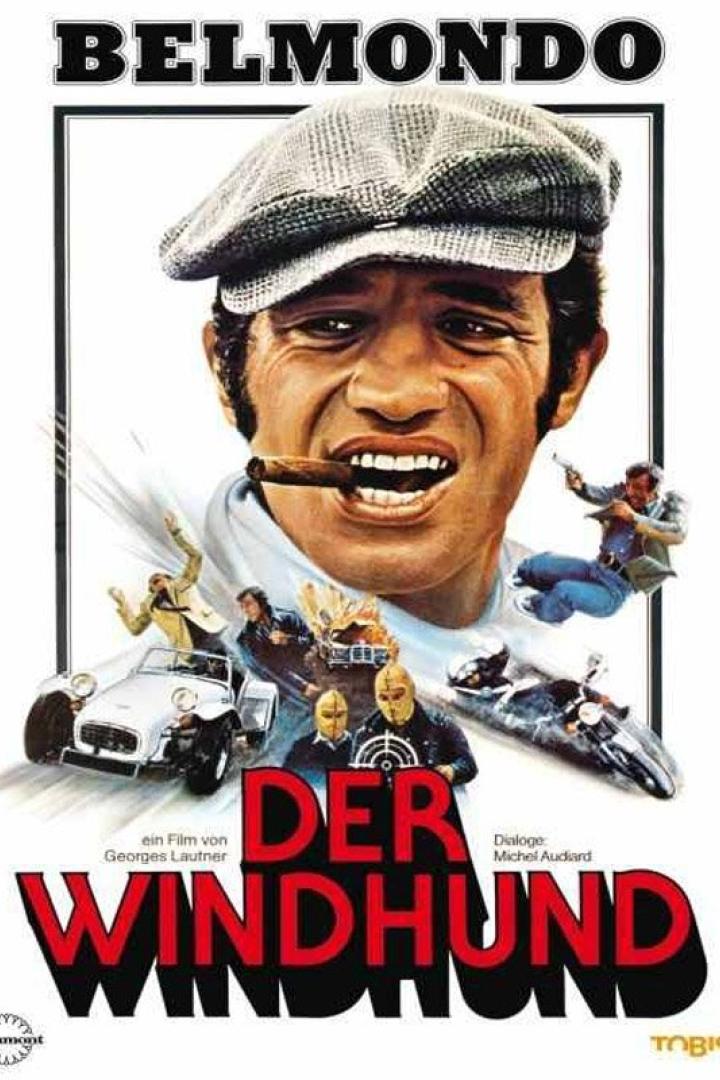 Das Filmplakat für „Der Windhund“ zeigt Jean-Paul Belmondo mit Zigarre und weitere Actionszenen.