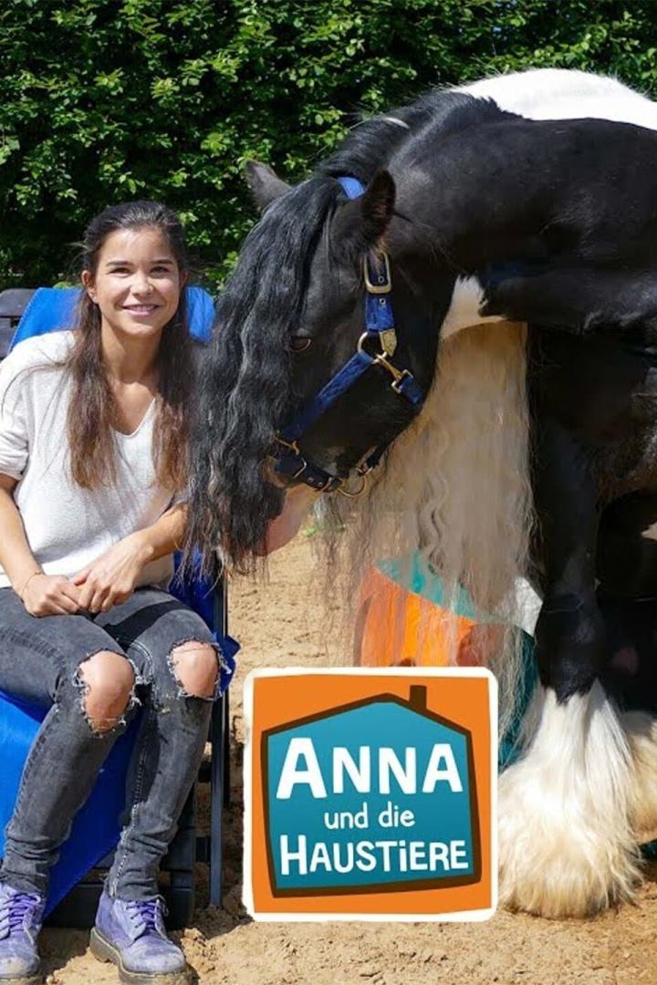 Anna posiert mit einem schwarz-weißen Tinkerpferd für die Sendung „Anna und die Haustiere“.