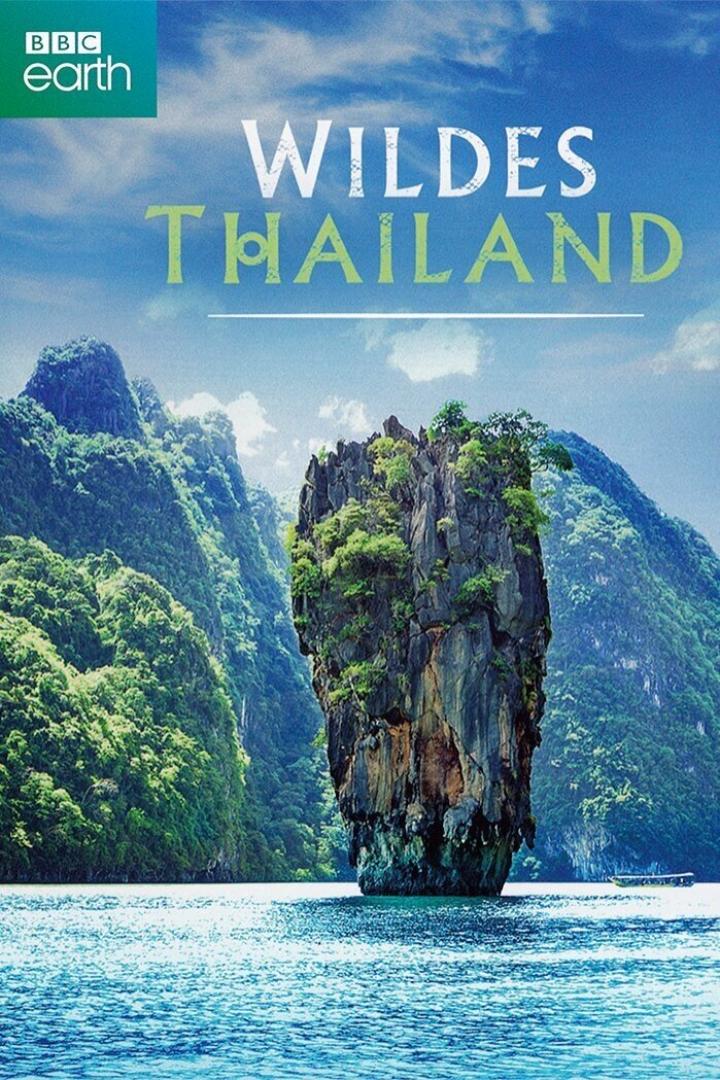 Das Cover der BBC Earth-Dokumentation „Wildes Thailand“ zeigt eine Felseninsel im Meer.