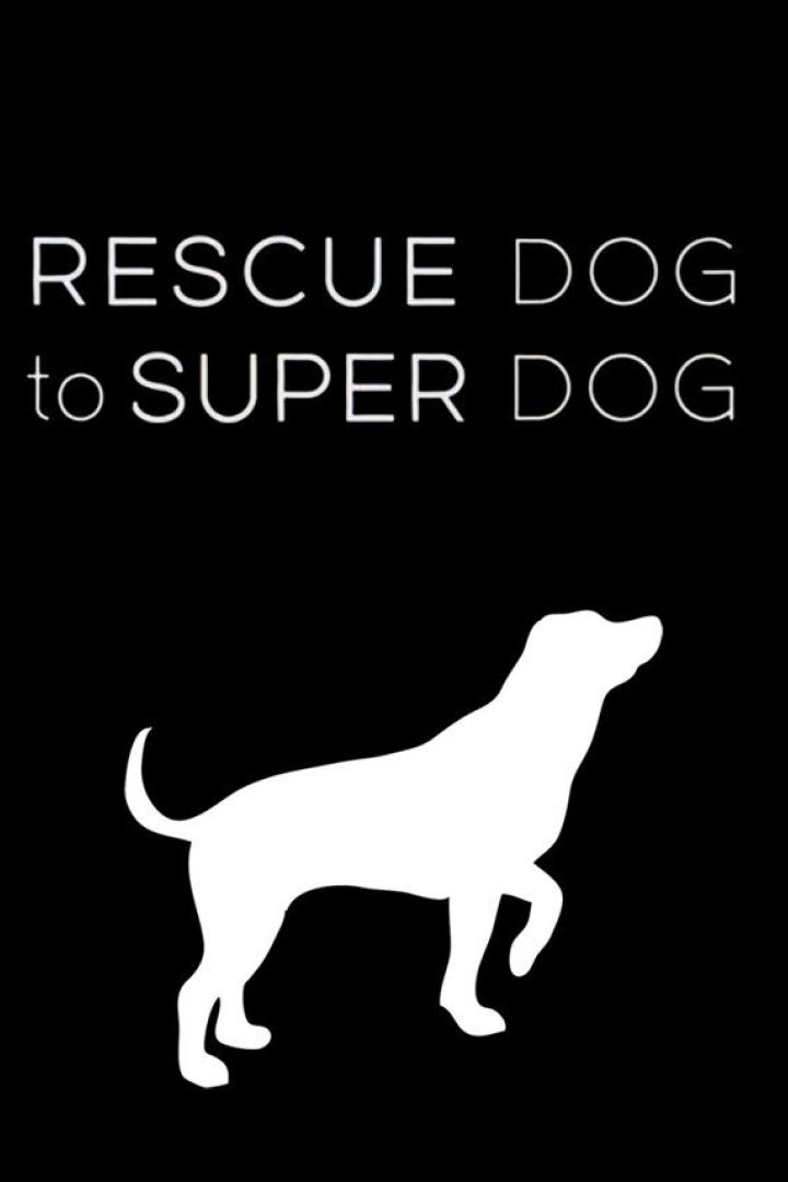 Ein weißer Hund ist vor einem schwarzen Hintergrund abgebildet, darüber der Text „Rescue Dog to Super Dog“.