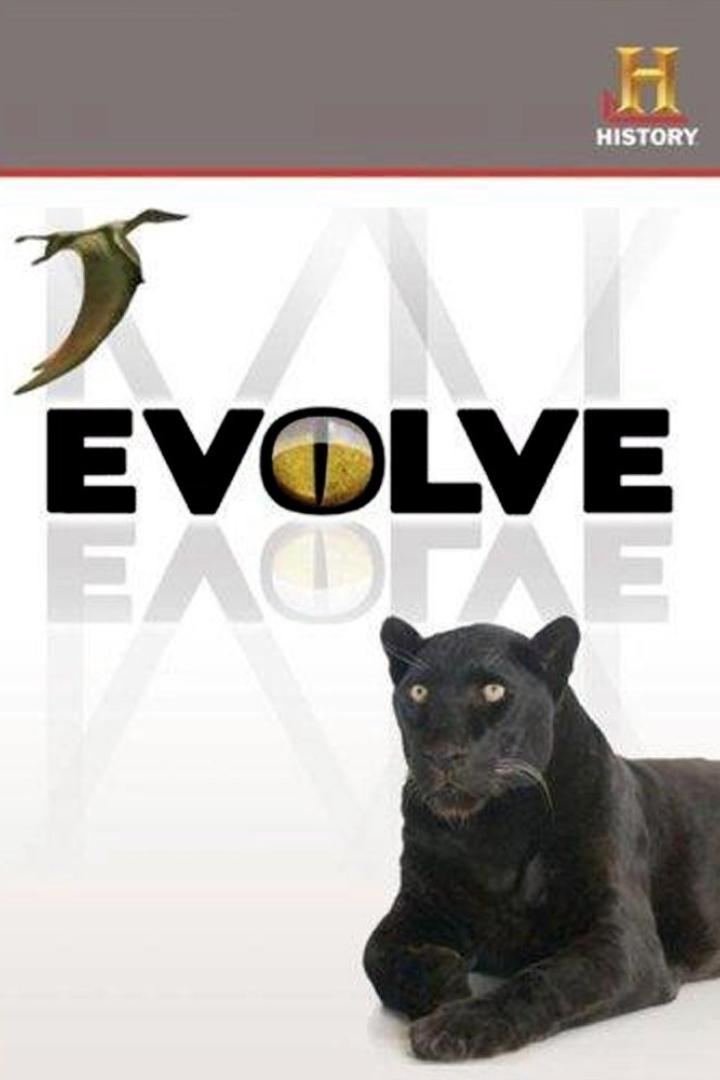 Das Cover der History-Dokumentation „Evolve“ zeigt einen Flugsaurier und einen Panther.